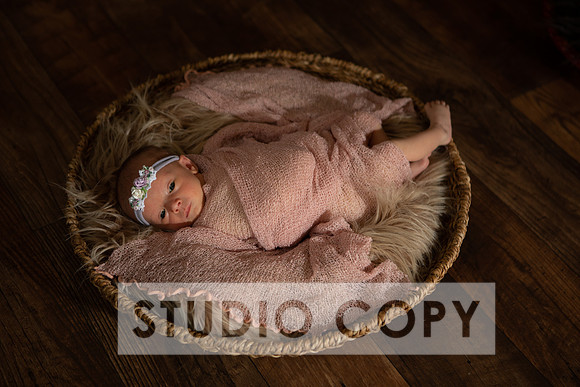 Lupeny Photogrpahy-8954