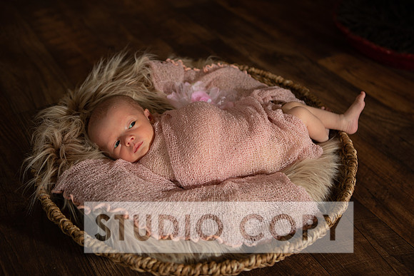 Lupeny Photogrpahy-8976