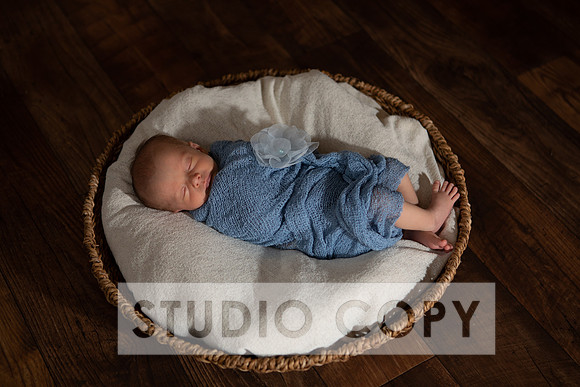 Lupeny Photogrpahy-8977