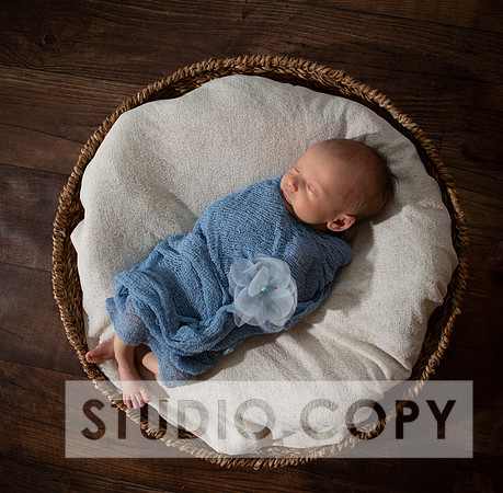 Lupeny Photogrpahy-8983