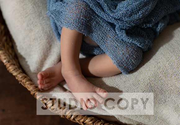 Lupeny Photogrpahy-8987
