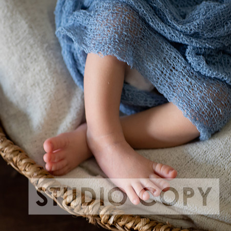 Lupeny Photogrpahy-8989
