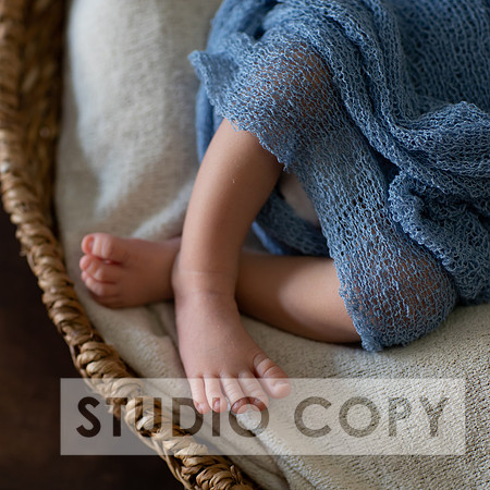 Lupeny Photogrpahy-8997