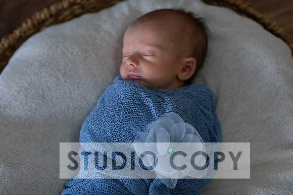 Lupeny Photogrpahy-8999