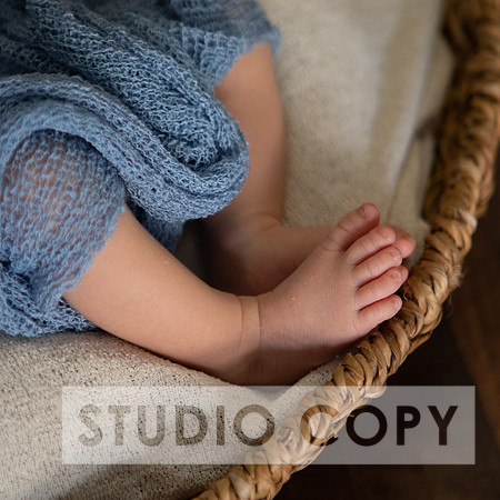 Lupeny Photogrpahy-9041