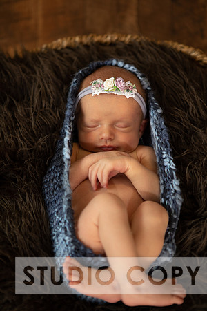 Lupeny Photogrpahy-9064