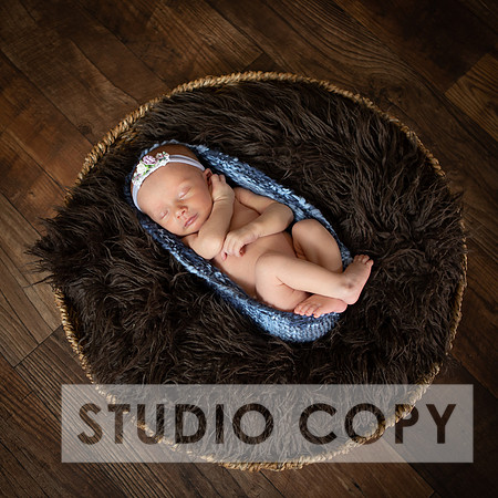 Lupeny Photogrpahy-9083
