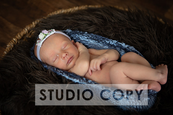 Lupeny Photogrpahy-9087