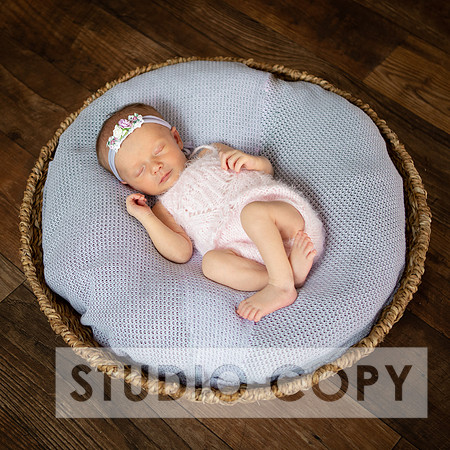 Lupeny Photogrpahy-9129