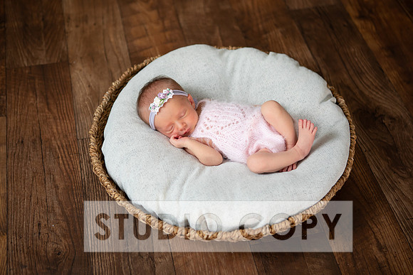 Lupeny Photogrpahy-9144