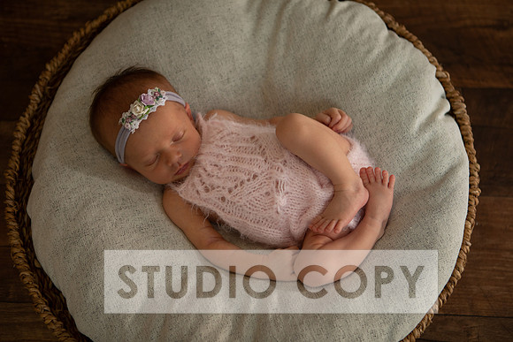 Lupeny Photogrpahy-9165