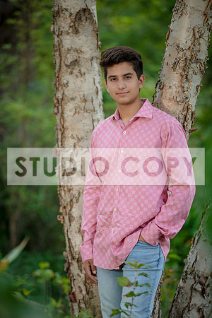 LP-6584