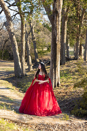 Lupeny Photography-8657