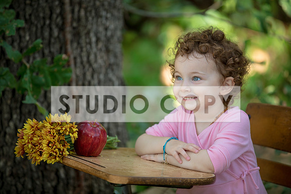 Lupeny Photography-6938