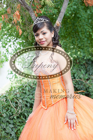Lupeny Photography   (6 of 61)