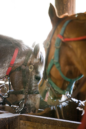 Lupeny Photography -76