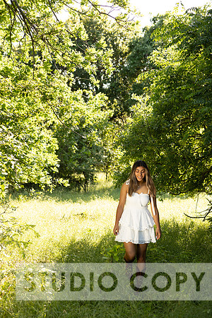 Lupeny Photography-8470