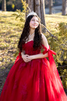 Lupeny Photography-8643
