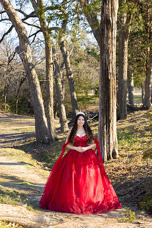 Lupeny Photography-8652