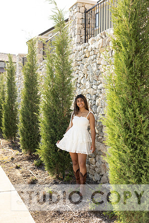 Lupeny Photography-8705