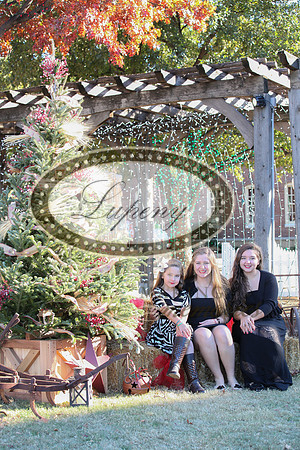 Lupeny Photography   (43 of 68)