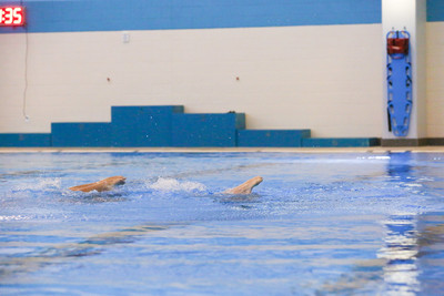LupenyPhotography  (176 of 327)