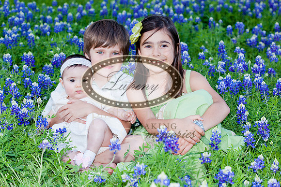 © Lupeny Photography-57