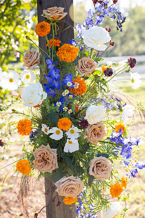 Lupeny Photography-7069