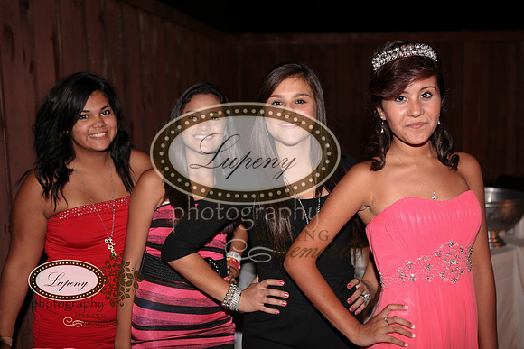 © Lupeny Photography-227