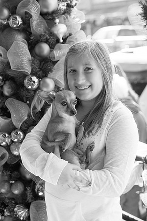Lupeny Photography   (2 of 66)