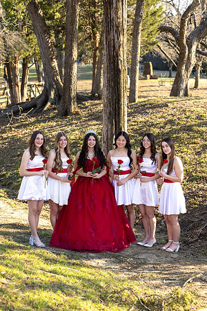 Lupeny Photography-8679