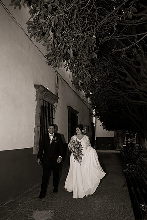 Lupeny Photography-3352