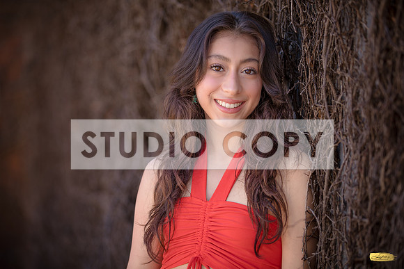 LUPENY PHOTOGRAPHY-9381-2