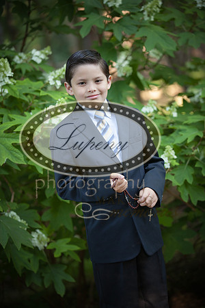 © Lupenyphotography -19