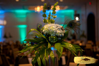 Lupeny Photography (33 of 184)