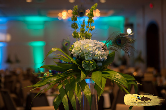 Lupeny Photography (33 of 184)