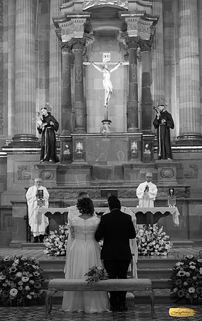 Lupeny photopgraphy--129