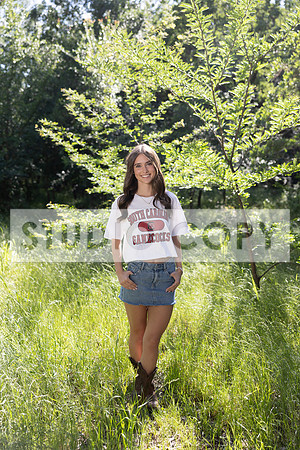 Lupeny Photography-6853