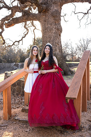 Lupeny Photography-8732