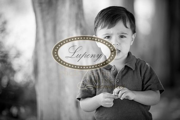 © Lupeny Photography-61