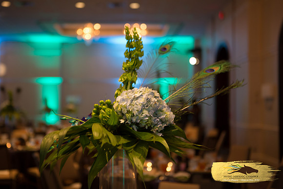 Lupeny Photography (32 of 184)