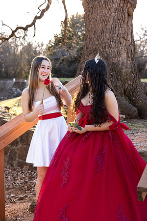 Lupeny Photography-8739