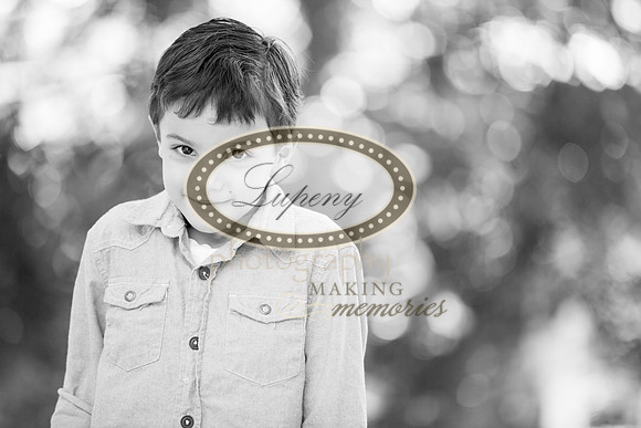 © Lupeny Photography-18