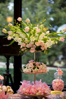 Lupeny Photography-7137