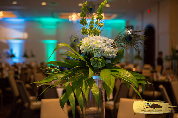 Lupeny Photography (35 of 184)