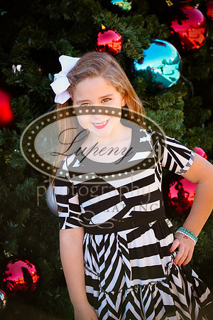 Lupeny Photography   (14 of 68)