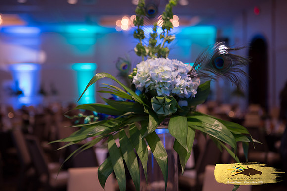 Lupeny Photography (34 of 184)