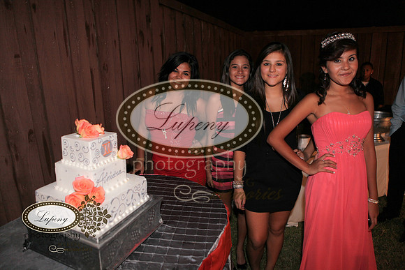 © Lupeny Photography-225