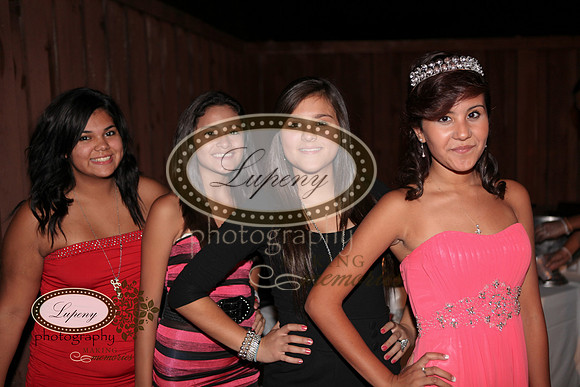 © Lupeny Photography-228