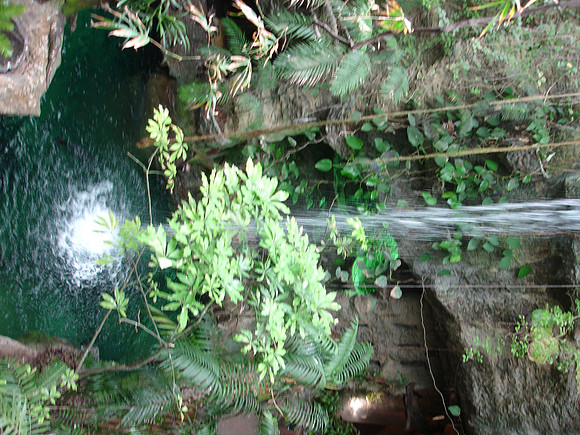 DSC01179
